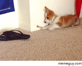 Dingdingdingding