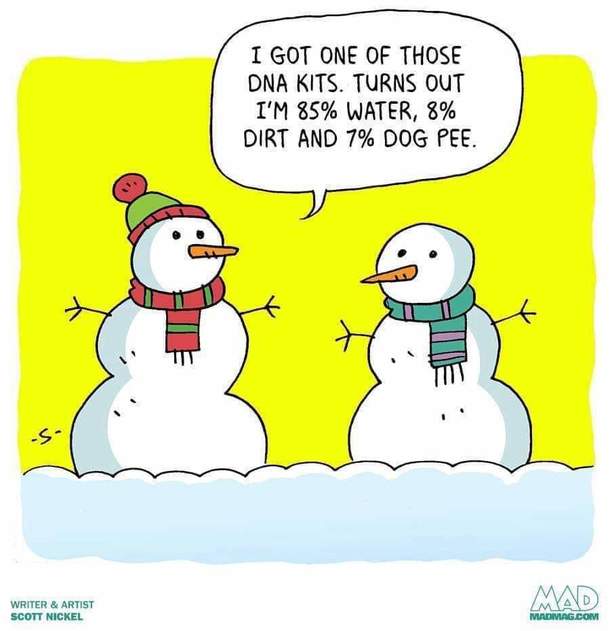  Dog Pee