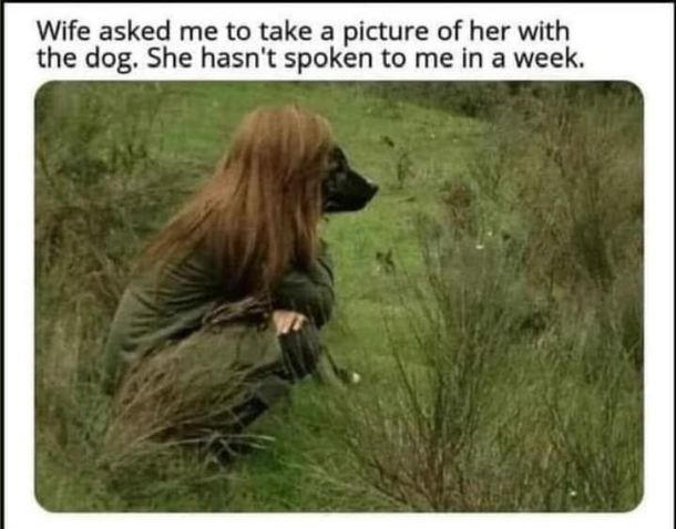 Dogface