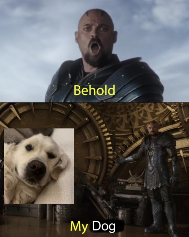 Doggo