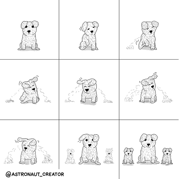 Dogs
