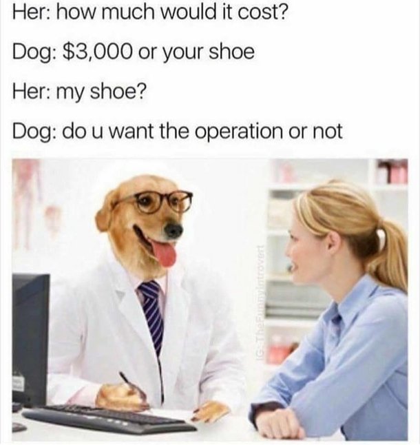 Dogtor