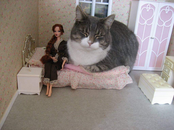 Dollhouse