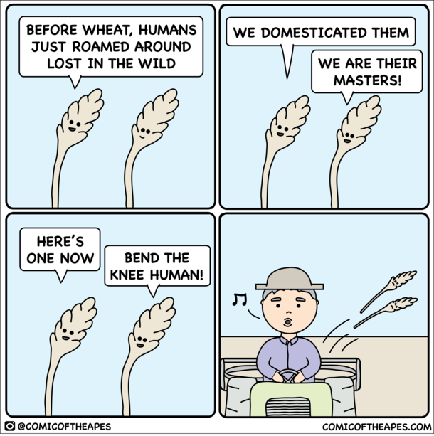 Domesticated