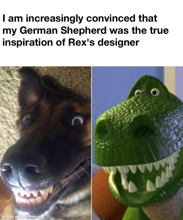 Doppelgnger