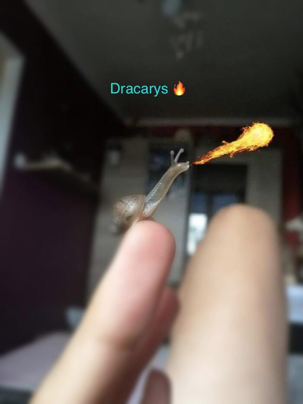 DRACARYS