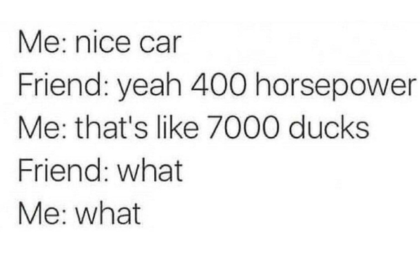 Ducks