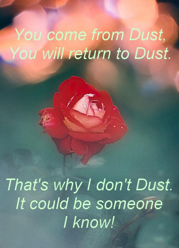 Dust