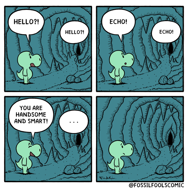Echo