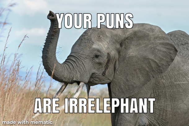 elephant