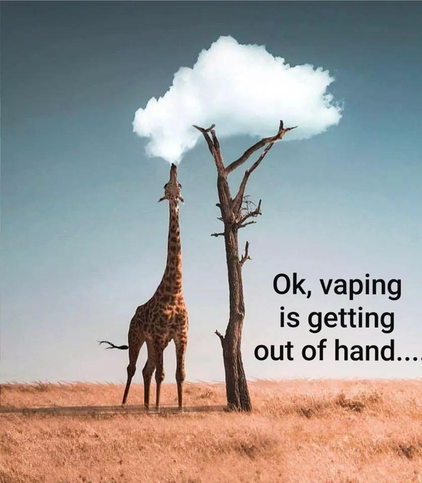 Enjoy