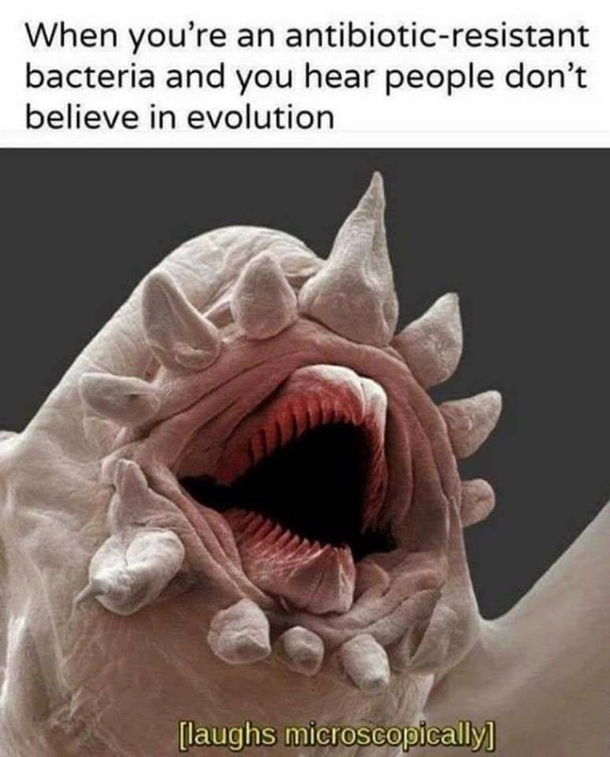 Evolution