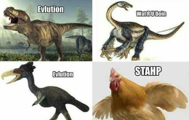 Evolution