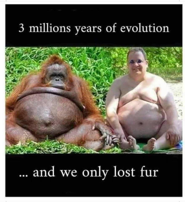Evolution