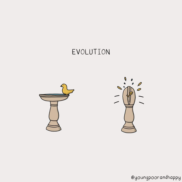 Evolution