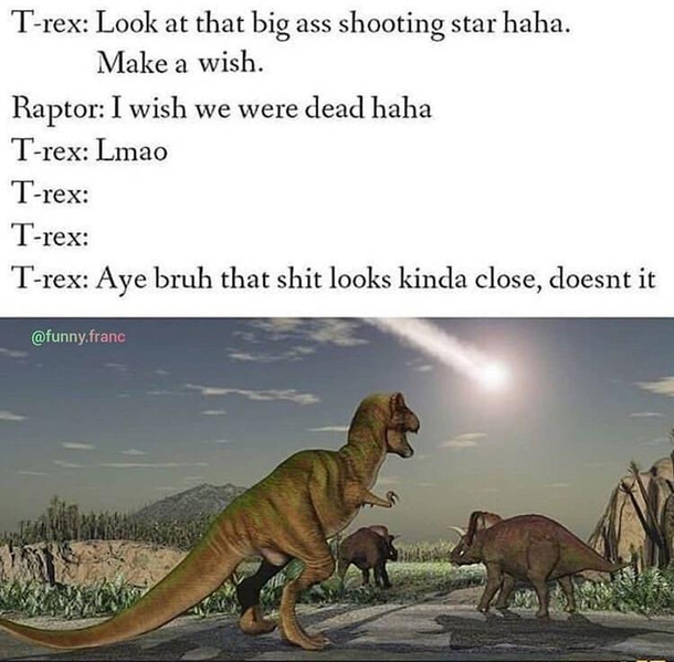 Extinction