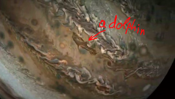  Extraterrestrial life has been found on Jupiter by me