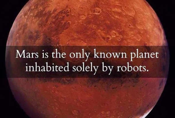 Fact