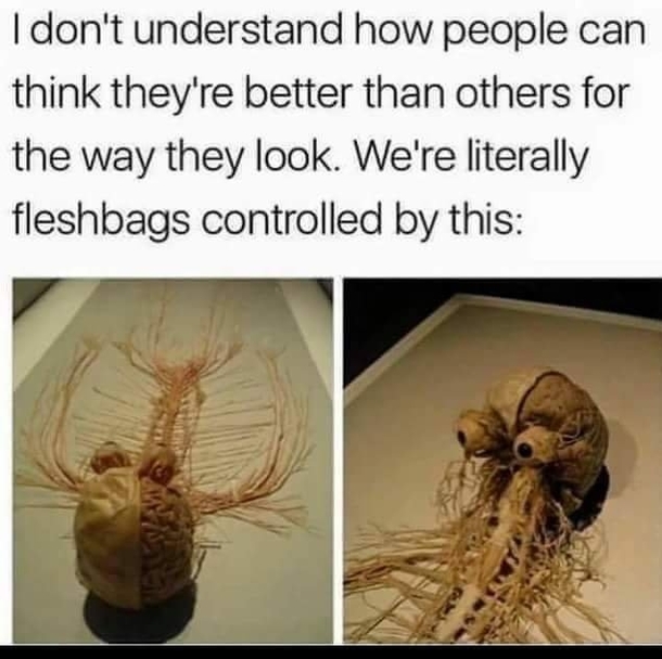 Fact