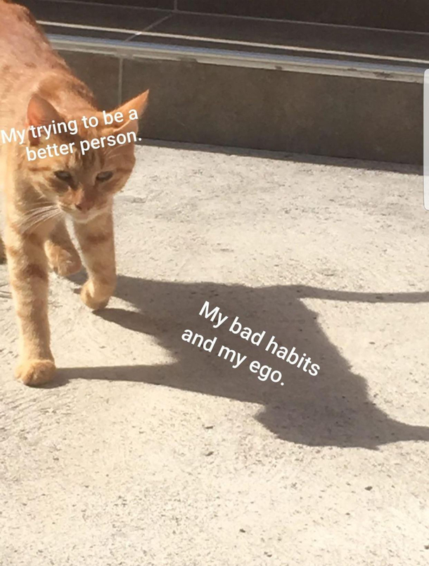 Facts