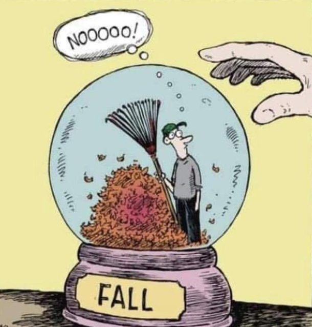 Fall