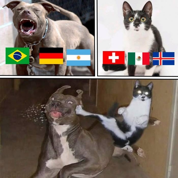  FIFA World Cup