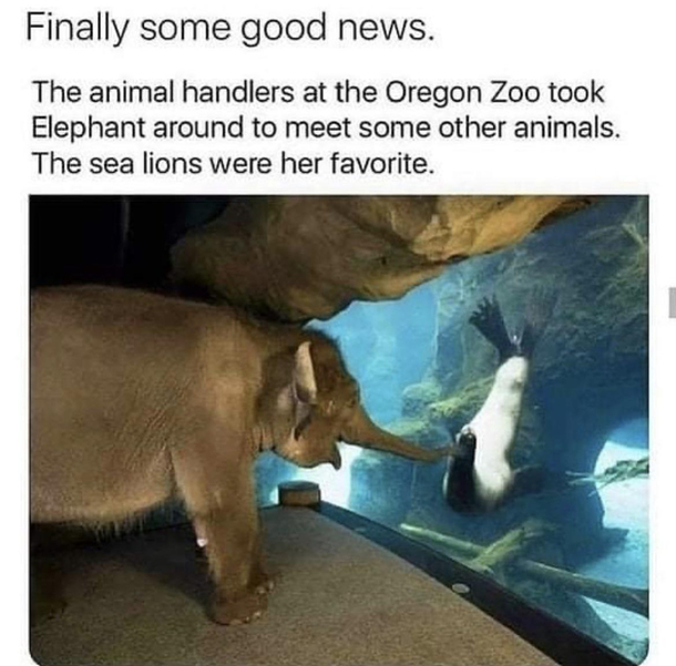 Finally
