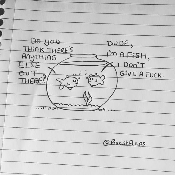  fish