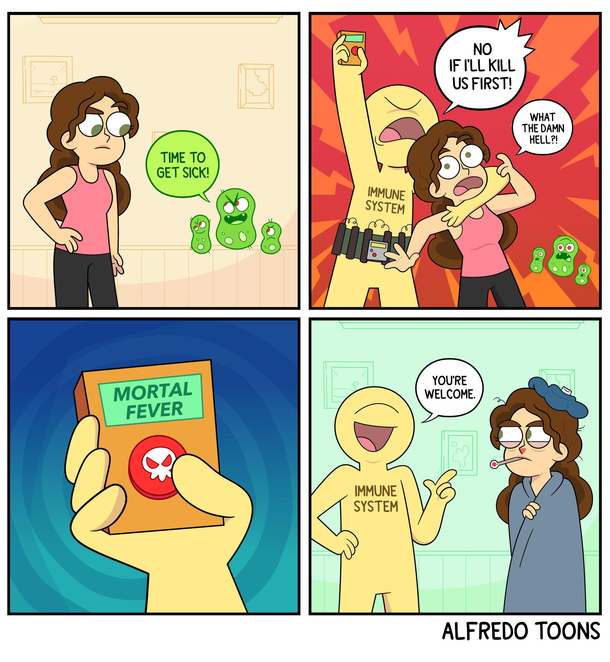  Flawless system 