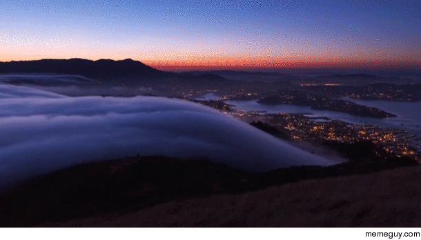 Fog