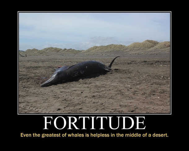 Fortitude