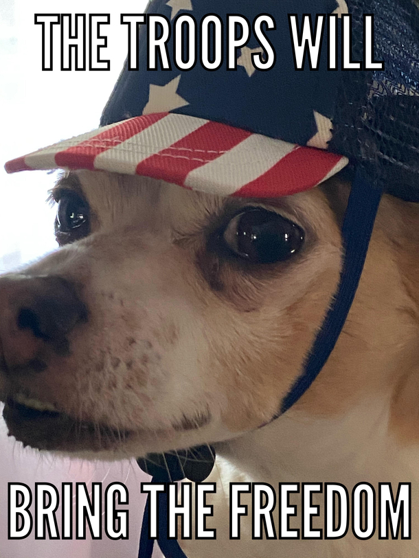 Freedom