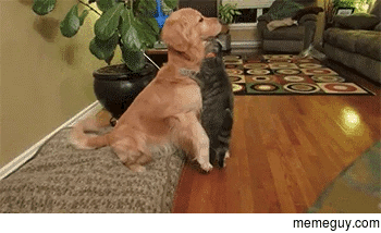 Friendzoned