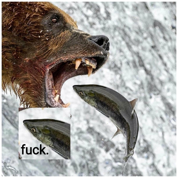 Fuck
