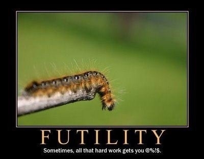 Futility