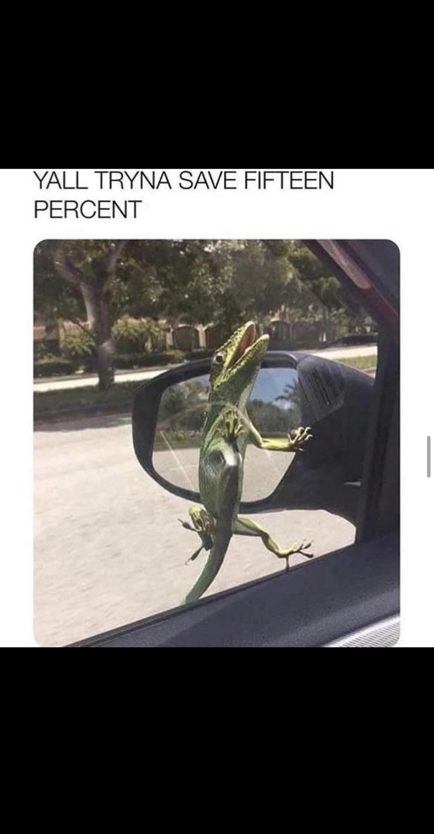 Geico