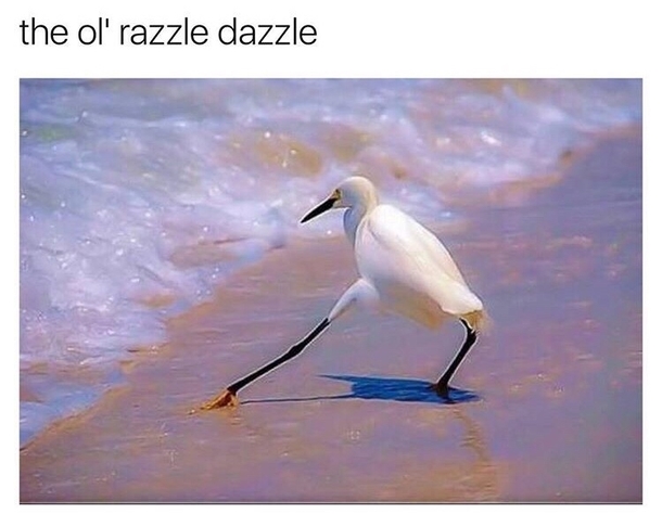  give em the ol razzle dazzle 