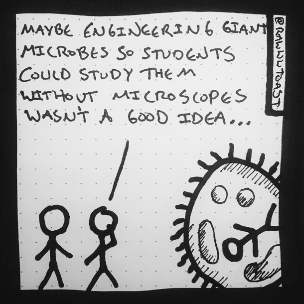 gmos