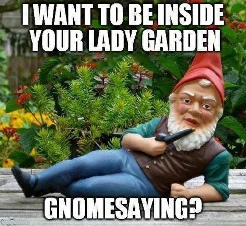 gnomesayin