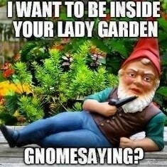 Gnomesayn