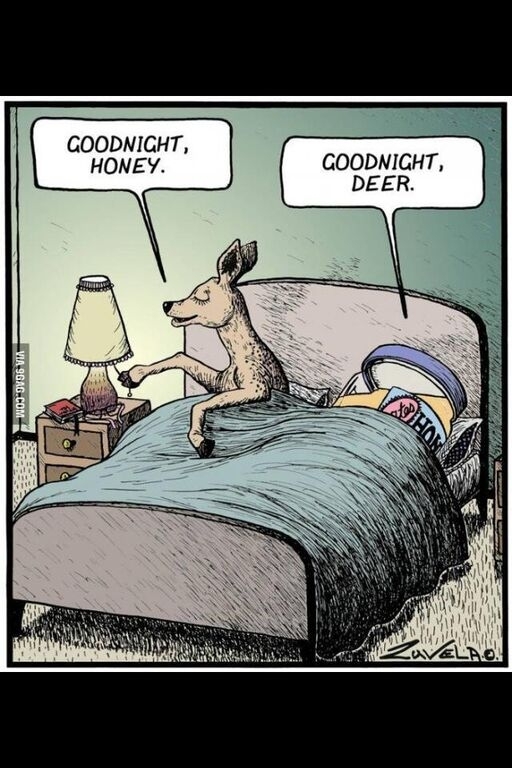 Goodnight