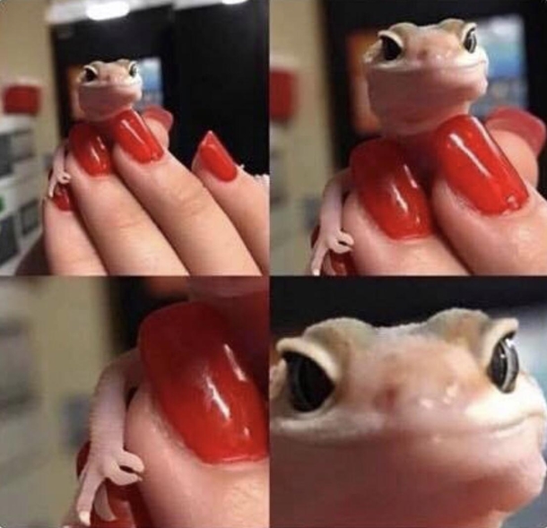 Gotem