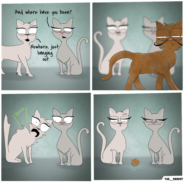 Hairballs