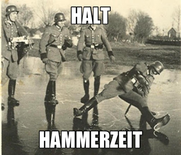 HALT