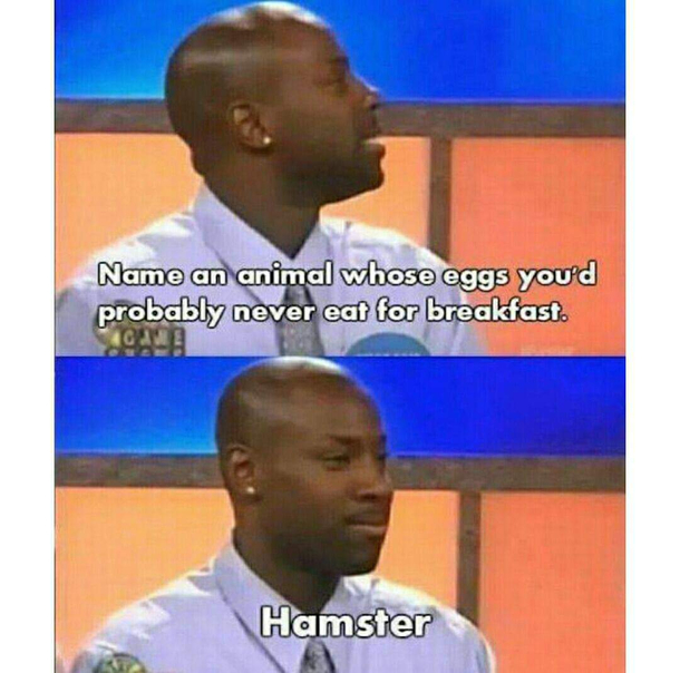 Hamster
