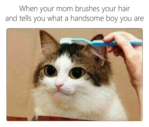 Handsome