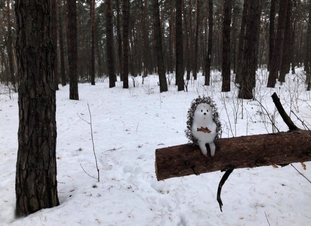 hedgehog
