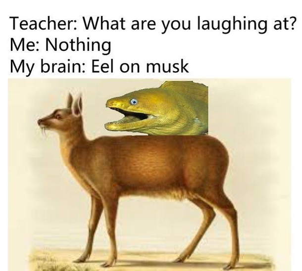 Hehe