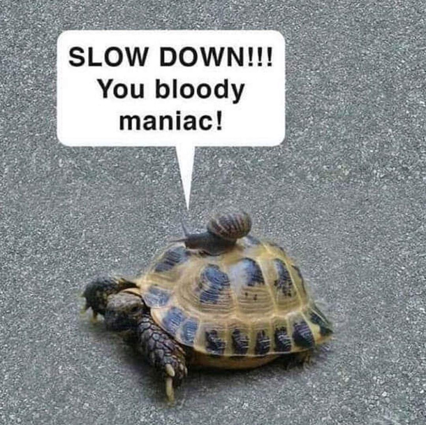 Hehe