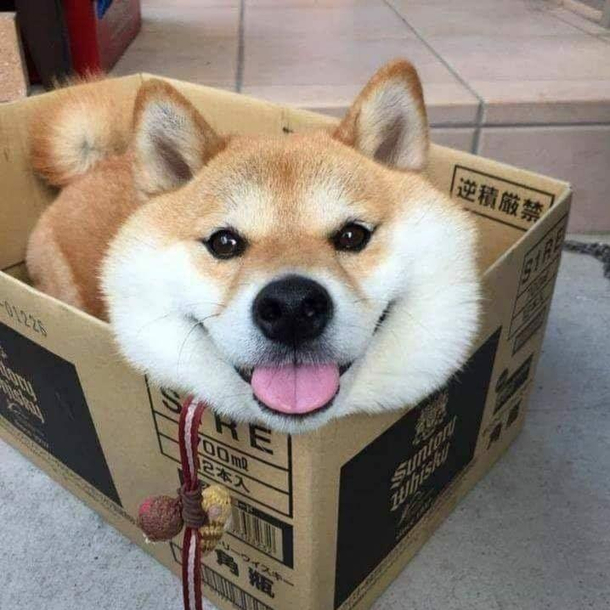 Hello